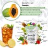 Papaya Ginger Digestive Juice Infusion