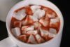 Easy Sugar Free Hot Chocolate Recipe – Low Carb Hoser