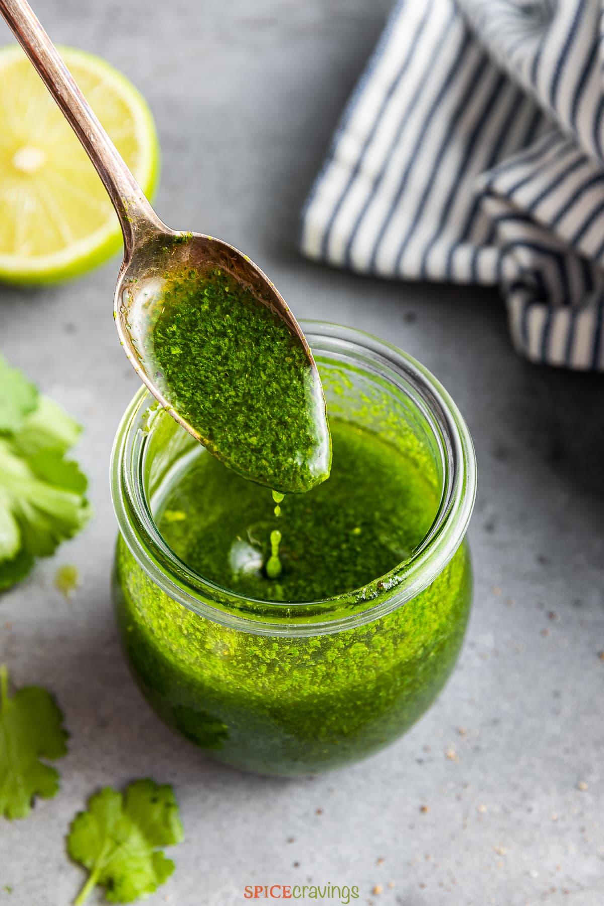 Cilantro Lime Infused Olive Oil Marinade