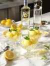 Ciroc Vodka Lemon Sorbet