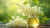 Elderflower Infusion: Discovering Its Delicate Flavor and Health Benefits Thoroughly