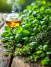 Top Herbs to Enhance Wellness Through Infusion