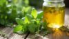 Marjoram Infusion: Exploring Flavor Characteristics and Health Benefits in Detail