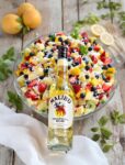 Malibu Rum Tropical Fruit Salad