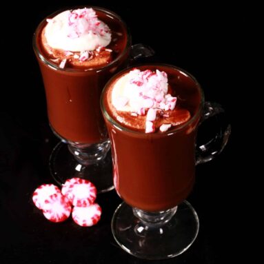 Sugar Free Peppermint Hot Chocolate Recipe – Low Carb Hoser