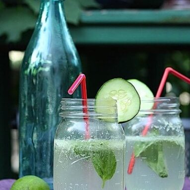 Cucumber Basil Sparkling Water Infusion