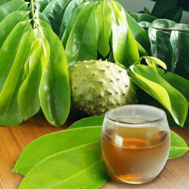 Soursop Ginger Tropical Infusion Juice